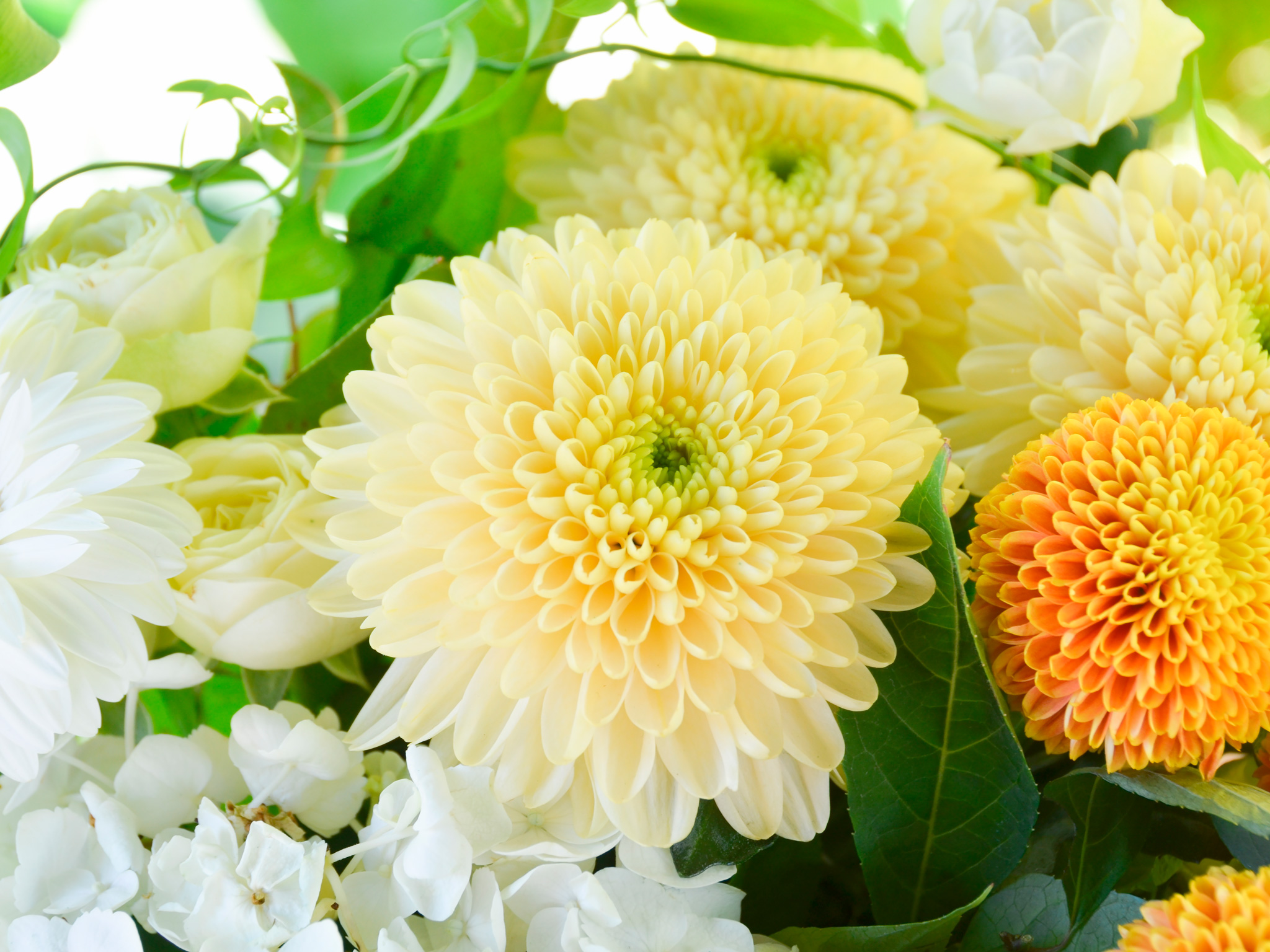 ホシナ花屋・生花アレンジ